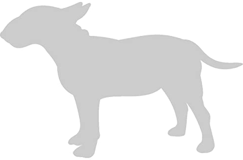 Samunshi® Bullterrier Hunde Aufkleber Autoaufkleber Sticker in 7 Größen und 25 Farben (10x6,4cm Silber)