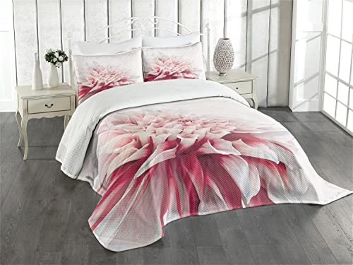 ABAKUHAUS Dahlie Tagesdecke Set, Close up Blumenblüte, Set mit Kissenbezügen Waschbar, für Doppelbetten 220 x 220 cm, Weiß Elfenbein
