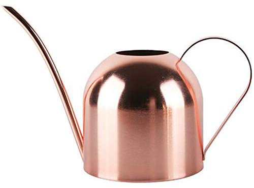 Enpato Regadera pequeña de acero inoxidable para plantas de oficina de interior y jardín, boquilla larga de latón, 450 ml (dorado)