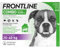 FRONTLINE Combo Hund L gegen Zecken, Flöhe & Haarlinge (große Hunde 20 bis 40 kg) - 3X Pipetten für bis zu 3 Monate Schutz - auch gegen Floheier, Larven & Puppen im Haushalt - wasserfest