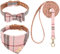 EXPAWLORER Hundehalsband und Leine, Set – klassisch, kariert, niedliche Fliege und Bandana-Halsband, kein Verheddern, verstellbares Welpenhalsband und Leine für kleine, mittelgroße und große Hunde,