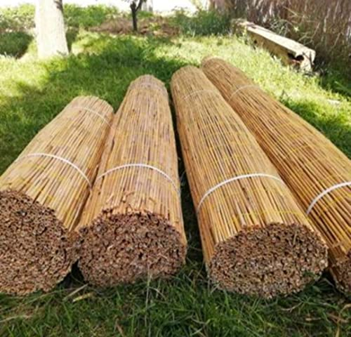 Générique 1m por 5m Brisa Vista de canisse Paja Junco Valla Balcón terraza pérgola