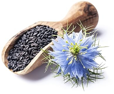 3000 Samen Echter Schwarzkümmel Nigella sativa Gewürz Bienenweide black cumin