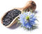 3000 Samen Echter Schwarzkümmel Nigella sativa Gewürz Bienenweide black cumin