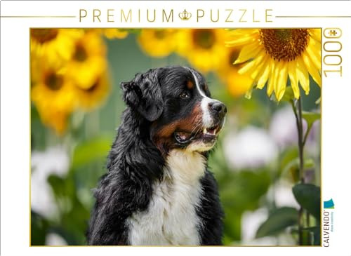 CALVENDO Puzzle Sonnenblumenzeit | 1000 Teile Lege-Größe 64 x 48 cm Foto-Puzzle für glückliche Stunden