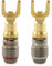 Nakamichi FanLock Excel Series 24k placcato oro connettore a forcella spina a banana 10 AWG - 18 AWG calibro 4mm per altoparlanti amplificatore Hi-Fi cavo connettore rapido, 2 pezzi (1 paio)