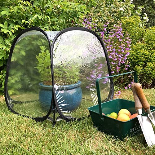 Mini Pop Up Poly Greenhouse Plant Cover | Garden Bell Cloche to Grow & Protect Crops Tomatoes Fruit Veg - 50x50x50cm (1)