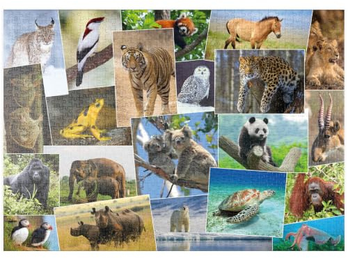 MyPuzzle Bedrohte Tierarten - Collage No. 1 - Premium 1000 Teile Puzzle - MyPuzzle Sonderkollektion von Starnberger Spiele