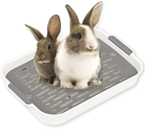Esquinero Conejo, Bandeja de Basura para Conejo, Lecho para Conejos, Inodoro de Animales Pequeños, Conejos Caja de para Gatos, Hámster y Cobayas (Pequeño (Blanco))