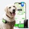 GlocalMe KeyTracker Dog Tracker, Global Unlimited Range GPS Tracker for Dogs, with 6 Location Technologies for Real Time Tracking, with Global Network Service, Waterproof