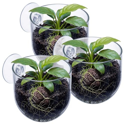 Thinp 3 Pcs Aquarium Plant Holder, Fish Tank Plant Holder Aquarium Plants Cup with Suction Cups Red Worm Fish Feeder Clear Fishes Tank Plants Pot for Home Fishes Tanks Aquascape Decoration