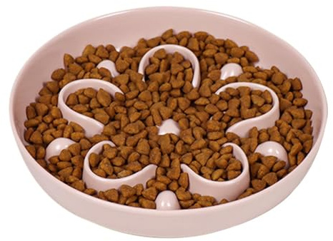 Slow Feeding Katzenschüsseln, 16 x 16 x 3,5 cm, Anti-Verschottungs-Frischhalt, Katzenfutter für Lebensmittel, für Outdoor, Zuhause, Reisen, Wasserbehandlung, Leckereien