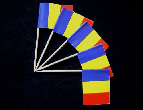 Everflag Zahnstocher : Rumänien 50er Packung