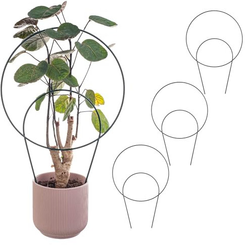 KADAX Rankhilfe aus Metall, 3 Stück, Rankgitter für Zimmerpflanzen und Topfpflanzen, Pflanzenstütze, Kletterhilfe für Pflanzen, Blumenstütze (Modell 1)