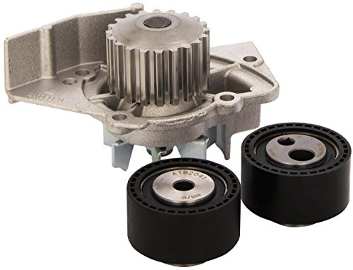 Dayco KTBWP1970 - Water Pump And Two Bearings