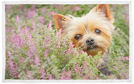 Hundedecke mit warmem Aufdruck, Yorkshire Terrier, Maulkorb, Welpen, Blumen