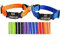 2X personalisiertes Katzenhalsband personalisiert mit Name graviert Katze Halsband reflektierend Leuchtend aus Nylon mit Glöckchen (Orange und Blau)