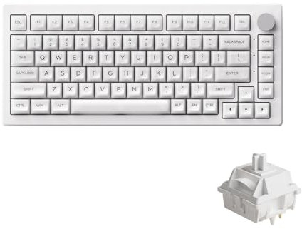 Akko 5075B Plus Shine-Through Mechanical Keyboard 75% RGB Hot-swappable Clear Transparent Gaming Keyboard with Knob, White with PC ASA Profile Keycaps V3 Piano Pro
