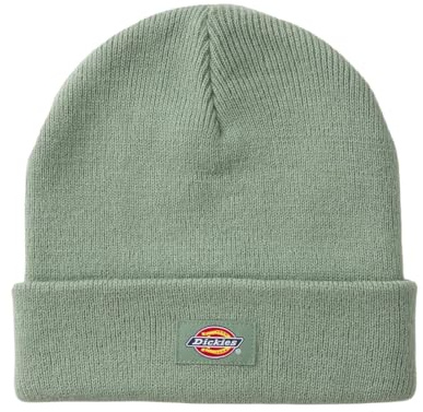 Dickies Unisex Mütze Gibsland sea Spray