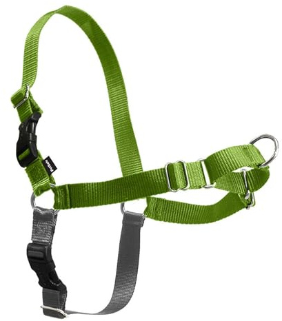 PetSafe Easy Walk Hundegeschirr