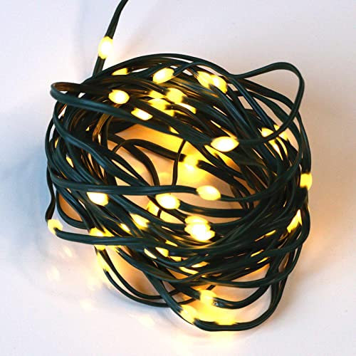 Qbis Battery Powered Outdoor Lights Multifunction with Timer. Warm White Outdoor Fairy Lights on Green Wire Perfect for Your Christmas Tree or Garland. Micro LED String Lights. (60 LED Green Wire)
