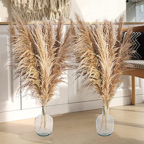 12 PCS Pampas Secas Decoracion 120CM, Grand Esponjosas Hierba Pampas Naturales Ramos de Flores Secas para Florero de Piso Boho Decoracion Arreglos Florales Boda Sala Dormitorio Balcon Interior Hogar