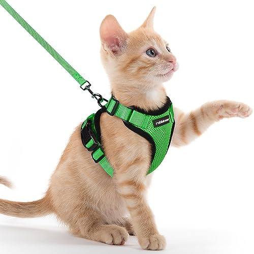 rabbitgoo Pettorina Gatto Antifuga con Guinzaglio, Guinzaglio per Gatti Regolabile, Pettorina Cane Taglia Piccola Riflettente, Imbracatura Gatto Adulto in Maglia Traspirante, Verde Erba, XXS