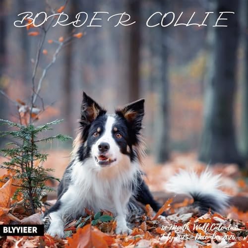 Wandkalender 2025–2026, Border Collie, Wandkalender, 30,5 x 61 cm, offen, Familienplaner, Kalender mit Border Collie-Bildern, für Hundeliebhaber