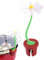 Raypontia Flower Power - Juego de 4 elevadores de tapa de ollas de silicona, resistentes al calor, soporte para tapa de maceta, accesorios de cocina