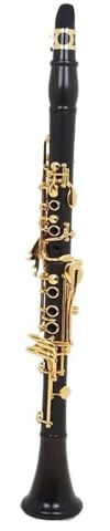 Klarinetten für Anfänger Ebenholzklarinette Instrument mit B Tonart professionelle Leistung