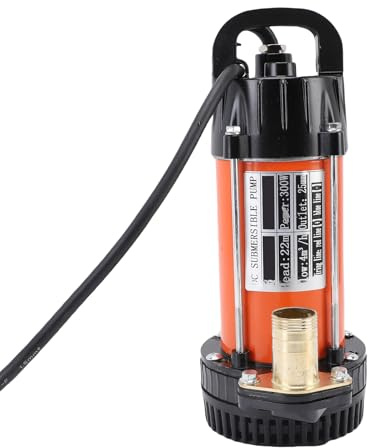 Marhynchus Bomba Sumergible de 300 W, Bomba de Agua Eléctrica de Acero Inoxidable con Elevación de 22 M para Riego de Jardines de Pozos Profundos (DC12V)