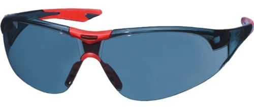 Einhell 49379810 - Ogenomskinliga skyddsglasögon