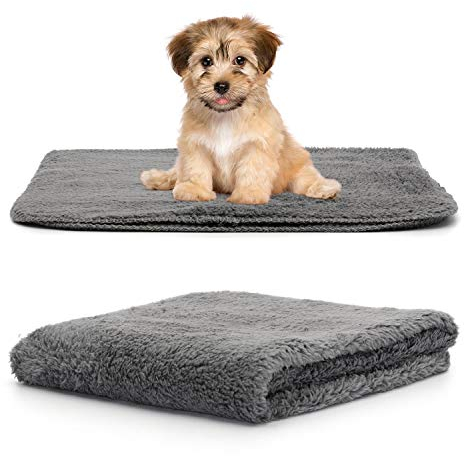 Snug Rug, Raffinata Coperta per Animali Domestici in soffice Pile Sherpa, Morbida e Calda, per Cani e Gatti, Lavabile, per Auto, Divano, Letto (Small, 88 x 60 cm, Grigio Ardesia)