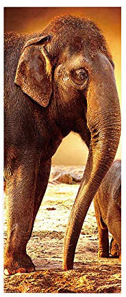 Türtapete selbstklebend Elefant TürPoster 3D Bewirken Fototapete Türfolie Poster Tapete Abnehmbar Wandtapete für Wohnzimmer Küche Schlafzimmer 77X200CM