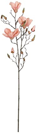 MICA Decorations Magnolia Peach-L88 cm Künstliche Blumen, Mehrfarbig, einzigartig