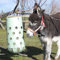 HeuToy Mini (für Esel, Ziege, Schafe, kleine Ponys) (aufgebaut)