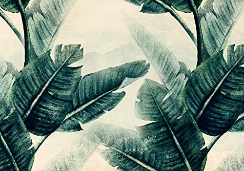 decomonkey carta da parati Foglie 400x280 cm fotomurali non tessuto murale XXL Poster moderna decorazione Carta per pareti Vintage Retro Monstera Lascia Pietra Natura Botanica verde beige