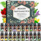 AESHORY Set Huiles Essentielles 20 x 5ml, 100% Pures & Naturelle Huiles Essentielles Aromathérapie pour Diffuseurs, SPA, Massage, Bain, Idéal Coffret Cadeau - Lavande, Tea Tree, Citronnelle, Romarin