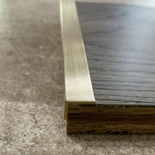 Door Threshold Strip Brass Transition Strip for Flat Floor, Doorways Gap Cover Bar for Vinyl Laminate Tiles Wood, Indoor & Outdoor Stair Edge Protector(Size:W1cmxH1cm (3/8x 3/8))