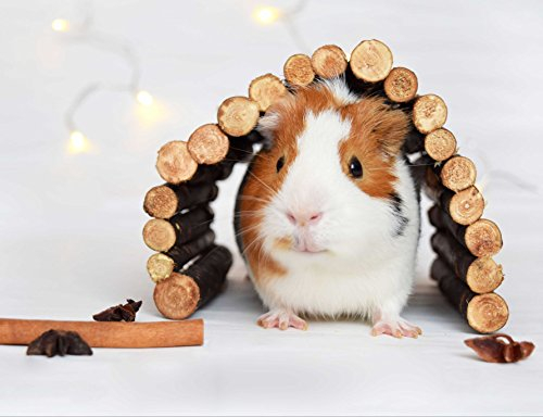 hansepuzzle 42574 - Meerschweinchen Puzzle 1000 Teile - Gefühle Puzzle mit hochwertiger Aufbewahrung: Kartonbox und wiederverschließbarem Beutel - Format 60 × 46 cm