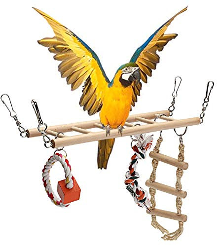MASUNN Hängematte, für Papageien, Sittiche, Nymphensittiche, Leiter, Hängematte, Schaukel zum Kauen