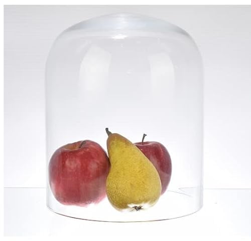 EMH Medium Glass Dome Display Cloche 22 cm x 18 cm