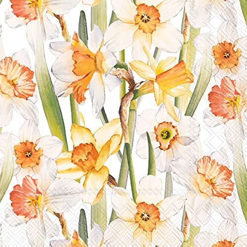 IHR Ideal Home Range - Paper Napkins Daffodil Joy 20 pc. 3-Ply Lunch Napkins 33 cm x 33 cm / 13 inch x 13 inch