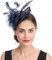 Fascinator Hut Damen Mütze mit Federn Haarschmuck Blumen Haarreif Mesh kopfschmuck mit Haarclip Haarspange Elegant Schleier Vintage kopfbedeckung Hochzeit Party Cosplay Cocktail Kirche