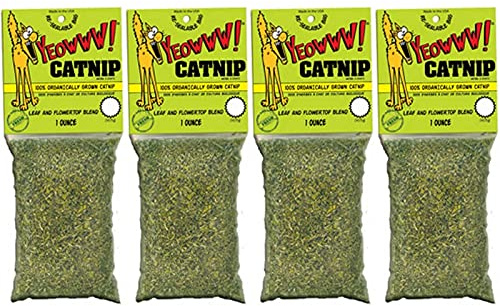 YEOWWW! Catnip 1 ounce 4 PACK Pure Leaf and Flowertop For Cats and Kittens