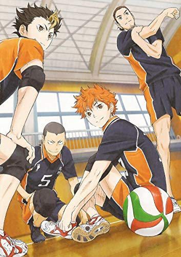 AQacum Puzzle 1000 Teile Anime Haikyuu Volleyball Junge DIY Holzpuzzle Einzigartiges Geschenk Wohnkultur Stil (50x75cm)