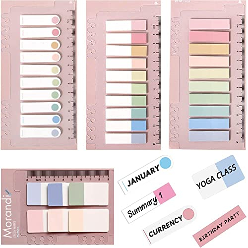 FAMIDIQGO 660 Stücke Haftnotizen Tabs, 4 Stile Haftstreifen Index Beschreibbare Farbige Lese Tabs mit Herrscher für Lesezeichen Papieren Einreichung(Rosa)