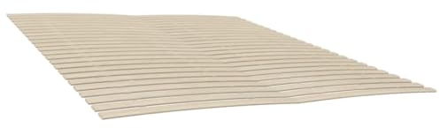vidaXL Lattenrost Ersatzbettgestell 2 STK., Rolllattenrost mit 48 Latten Holzlatten, Rollrost Bettrost Zusammenklappbar, Lattenrost Roll-Latten mit Kurve, 90x200cm