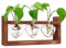 Plant Lover Gifts,Ompinda Desktop Glass Plant Terrarium Propagation Station Hydroponics Plants Vase with Wooden Stand for Home/Office Decor (3 Bulb Containers) (Heart)