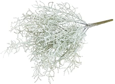 Botanic-Haus künstlicher Calocephalus (Stacheldraht Pflanze/Silberkörbchen) Farbe: grau, Höhe ca. 40 cm